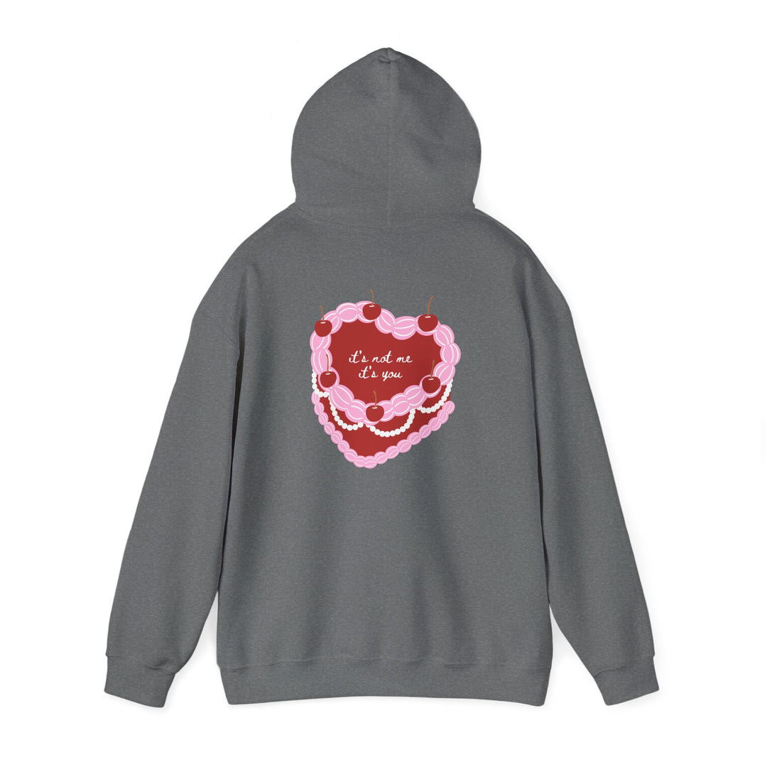 Hooded Sweatshirt - "It's Not Me, It's You"