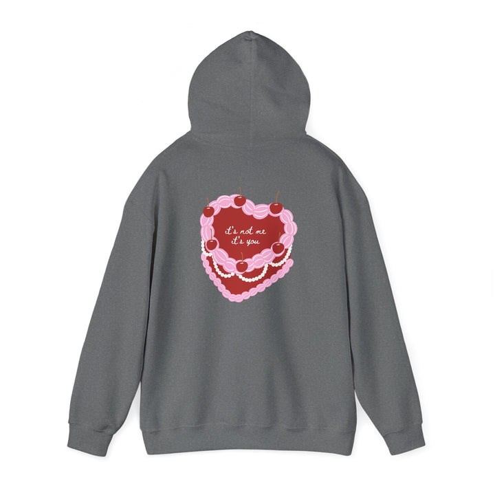 Hooded Sweatshirt - "It's Not Me, It's You"