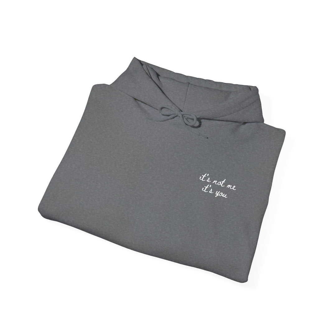 Hooded Sweatshirt - "It's Not Me, It's You"