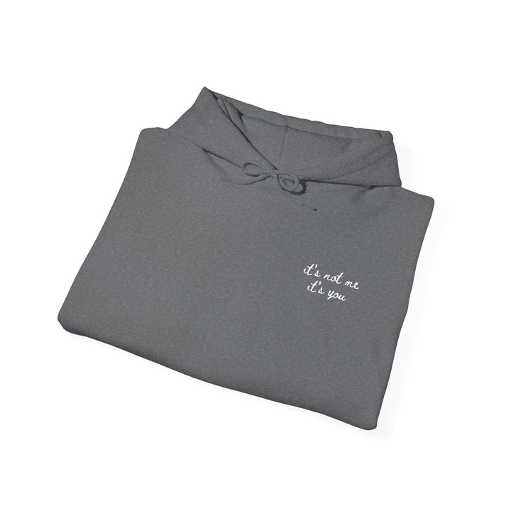 Hooded Sweatshirt - "It's Not Me, It's You"