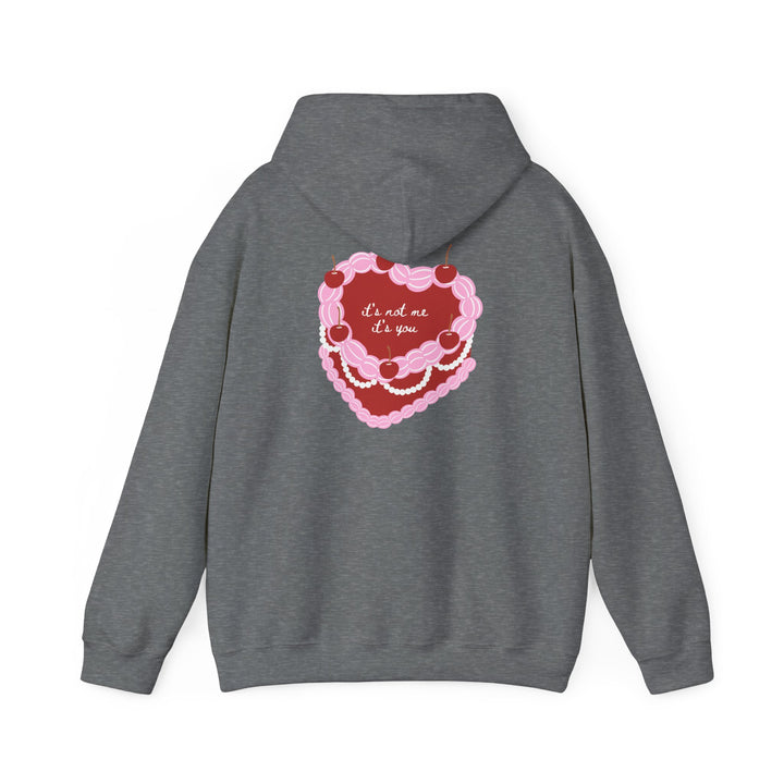 Hooded Sweatshirt - "It's Not Me, It's You"