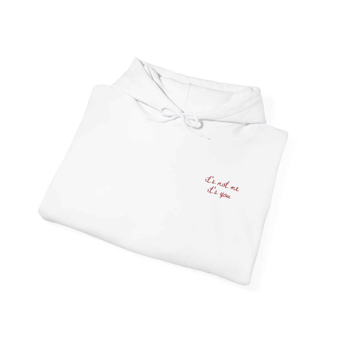Hooded Sweatshirt - "It's Not Me, It's You"